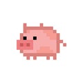 Pixel art 8-bit style cute pink pig - isolated vector illustration