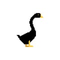 pixel art Black goose isolated. 8 bit Black farm bird. pixelated Vector illustration