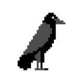 Pixel art Black Raven isolated. pixelated Black crow symbol of death 8 bit