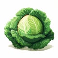Pixel Art Cabbage: Naive Art Image On White Background (8k Resolution