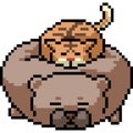 Pixel art cat bear pillow
