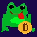 Pixel Art - Cryptrocurrency Frog with a Bitcoin - Golden Bitcoin