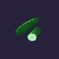 Pixel-art cucumber. A slice of cucumber and whole cucumber on blue background.