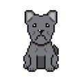 Pixel art cute cane corso dog vector in retro style Royalty Free Stock Photo