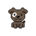 Pixel art cute dog vector in retro style Royalty Free Stock Photo