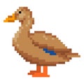 Pixel art duck. Bird retro video game asset. Animal vector illustration. Royalty Free Stock Photo