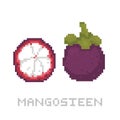 Pixel art game style mangosteen isolated vector illustration