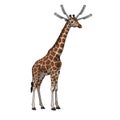 Pixel Art Giraffe with Chains Antennas on Head Isolated on White Background Royalty Free Stock Photo