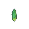Pixel art cucumber icon vector design
