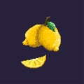 Pixel-art pear. Whole pear and slice of pear on dark blue background.