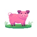 Pixel art pig. Farm animal for game design