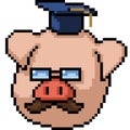 pixel art pig graduation doctor