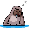 pixel art of seal sleep drool