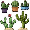 pixel art isolated cactus decoration