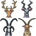 Pixel art isolated goat head