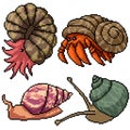 Pixel art isolated shell creature