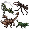 Pixel art isolated small insect