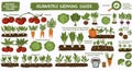 Pixel Art Vegetable Growing Guide Infographic with Tomatoes Carrots Cabbage Lettuce Celery Beets and Peppers for Royalty Free Stock Photo