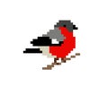 Pixel bird in Vector 8 bit