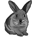 Pixel 8 bit drawn shaded furry bunny rabbit