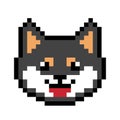 Pixel black shiba inu puppy image. Vector Illustration of pixel art