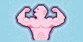 Pixel bodybuilder