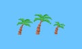 Pixel coconut tree.8bit.summer tropical.beachp plant.