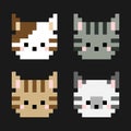 Pixel collection head of cats