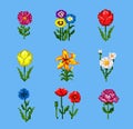 Pixel Flower Icons Set