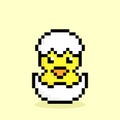Pixel image of a baby duck hatching in its egg. Vector illustration Royalty Free Stock Photo