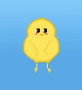 Pixel little chick, yellow bird on blue background Royalty Free Stock Photo