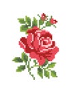 Pixel rose flower image. cross stitch pattern Royalty Free Stock Photo