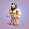 Pixel Wrestler: Voxel Art With Realistic Lighting And Color