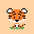 Pixel tiger image 8 bit Royalty Free Stock Photo