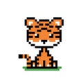 Pixel tiger image 8 bit Royalty Free Stock Photo