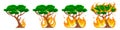 Pixel tree combustion fire stage. Fire is gradually engulfing green large tree. Royalty Free Stock Photo