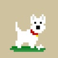 Pixel white dog image Vector