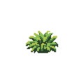 Pixelated green plant. Vector illustration decorative design