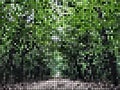 Pixelated Image - Path in the Woodland - Abstract Design Template in Editable Vector Format Royalty Free Stock Photo