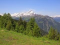 Piz Beverin and forest Royalty Free Stock Photo