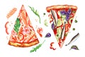 Pizza with anchovies and pizza with salmon and shrimp with toppings ingredients, watercolor illustratio