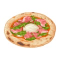 Pizza with arugula, burrata and prosciutto. Vector color realistic illustration