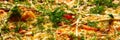 Pizza background - macro shot delicious italian pizza Royalty Free Stock Photo