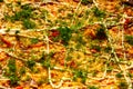 Pizza background - macro shot delicious italian pizza Royalty Free Stock Photo