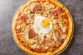 Pizza Bismarck is a style of pizza in Italian cuisine prepared with tomato sauce, mozzarella, mushrooms, prosciutto, and egg Royalty Free Stock Photo