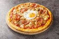 Pizza Bismarck is a style of pizza in Italian cuisine prepared with tomato sauce, mozzarella, mushrooms, prosciutto, and egg Royalty Free Stock Photo