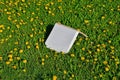 Pizza box in a dandelion meadow Royalty Free Stock Photo