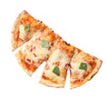 Pizza calzone Royalty Free Stock Photo