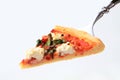 Pizza with cheese, bacon and spinach Royalty Free Stock Photo