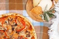 Pizza and cheese platter on a checkered bedspread. Summer picnic Royalty Free Stock Photo